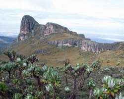 Mount Elgon is made up of five major peaks such as Wagagai, Sudek, Koitobos, Mubiyi, and Masaba Mount Elgon is made up of five major peaks such as Wagagai, Sudek, Koitobos, Mubiyi, and Masaba.